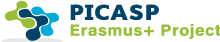 Picasp Project Logo